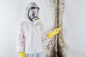 Why You Should Choose Our Mold Remediation Services in Lander, WY